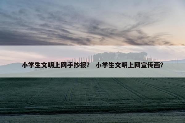 小学生文明上网手抄报？ 小学生文明上网宣传画？