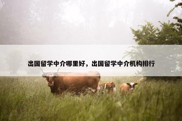 出国留学中介哪里好，出国留学中介机构排行