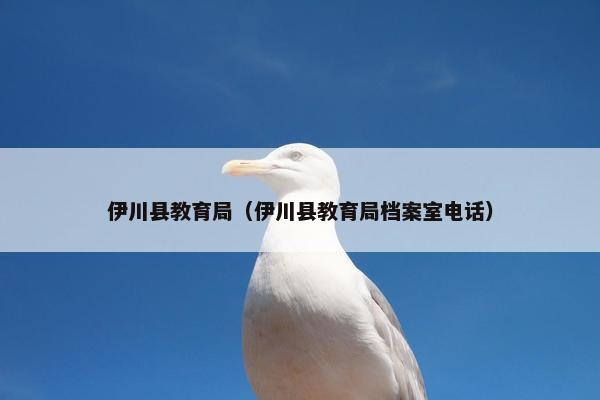 伊川县教育局（伊川县教育局档案室电话）