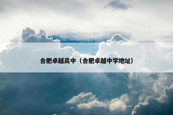 合肥卓越高中（合肥卓越中学地址）