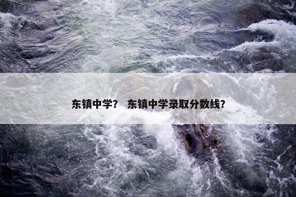 东镇中学？ 东镇中学录取分数线？