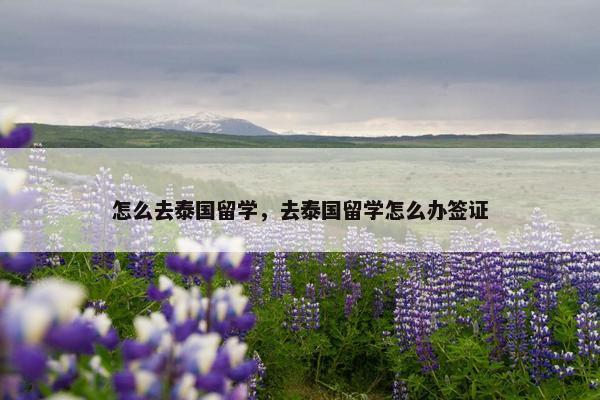 怎么去泰国留学，去泰国留学怎么办签证