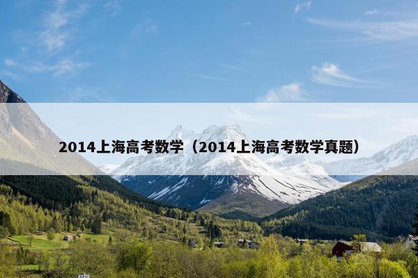 2014上海高考数学（2014上海高考数学真题）