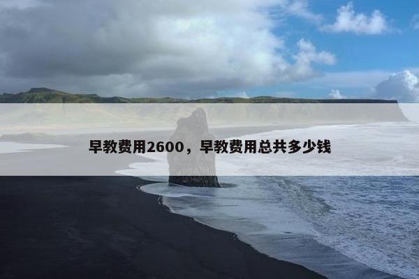早教费用2600，早教费用总共多少钱