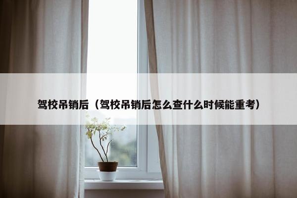 驾校吊销后（驾校吊销后怎么查什么时候能重考）