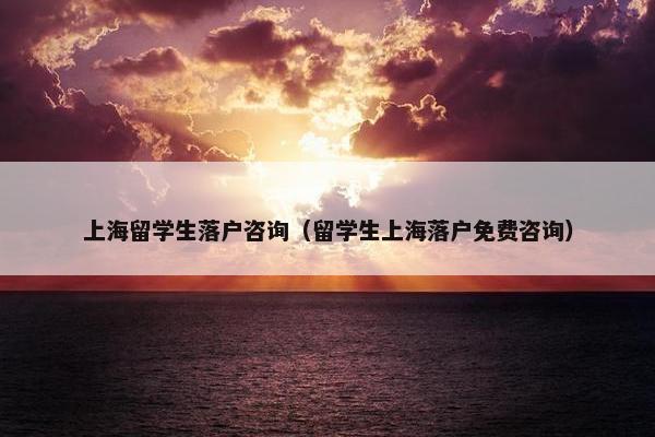 上海留学生落户咨询（留学生上海落户免费咨询）