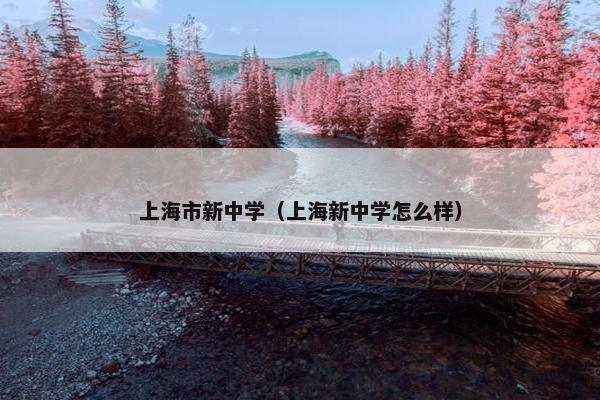 上海市新中学（上海新中学怎么样）