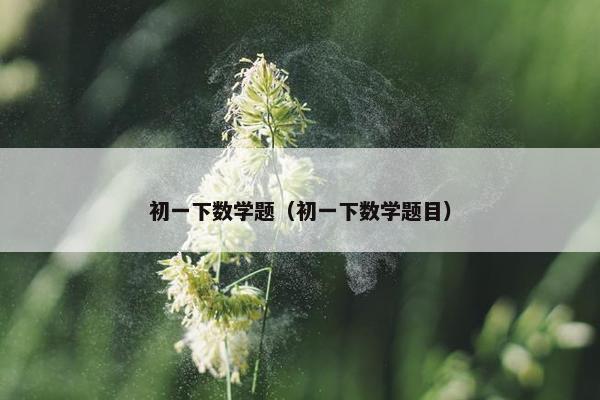 初一下数学题（初一下数学题目）
