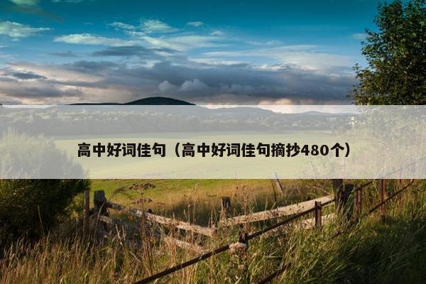 高中好词佳句（高中好词佳句摘抄480个）
