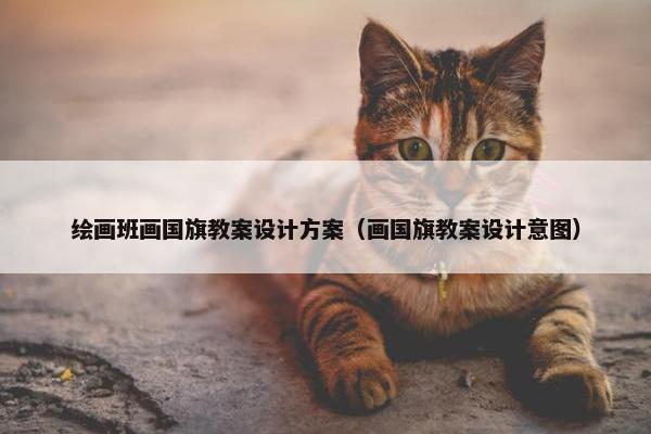 绘画班画国旗教案设计方案（画国旗教案设计意图）