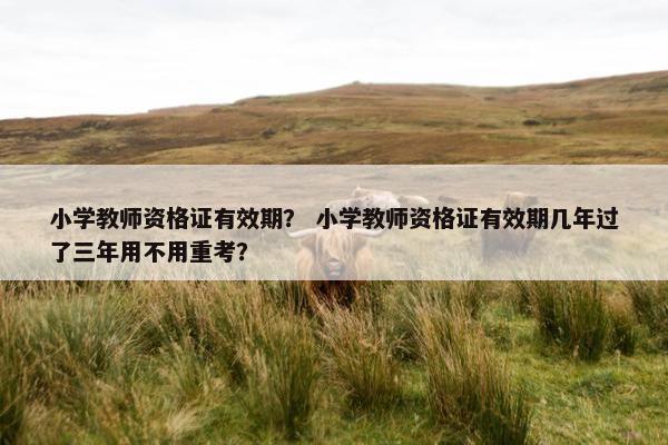 小学教师资格证有效期？ 小学教师资格证有效期几年过了三年用不用重考？