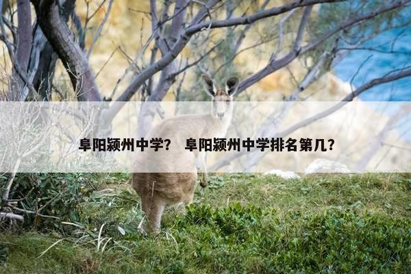 阜阳颍州中学？ 阜阳颍州中学排名第几？