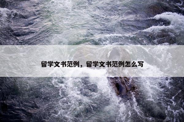 留学文书范例，留学文书范例怎么写