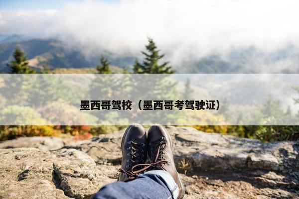 墨西哥驾校（墨西哥考驾驶证）