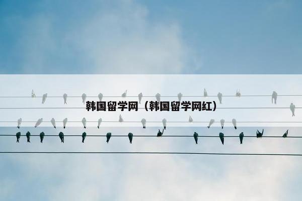 韩国留学网（韩国留学网红）