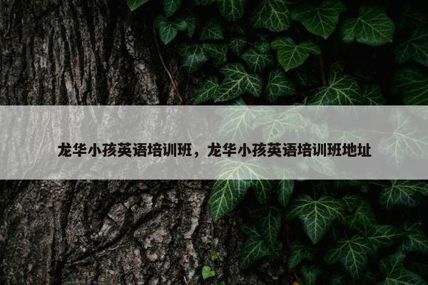 龙华小孩英语培训班，龙华小孩英语培训班地址