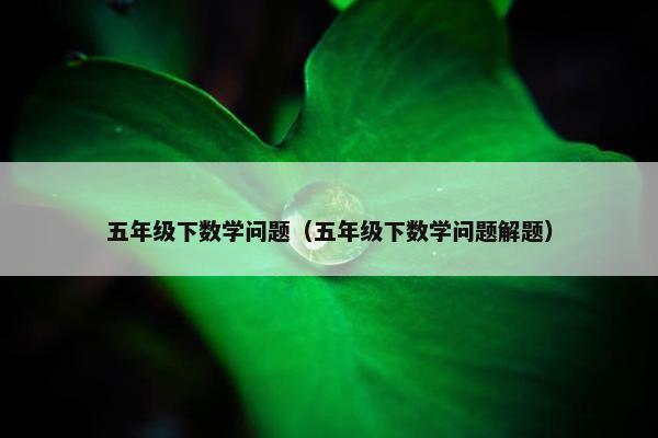 五年级下数学问题（五年级下数学问题解题）