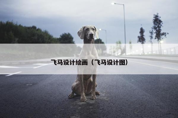 飞马设计绘画（飞马设计图）