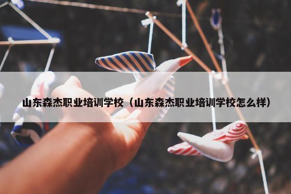 山东森杰职业培训学校（山东森杰职业培训学校怎么样）