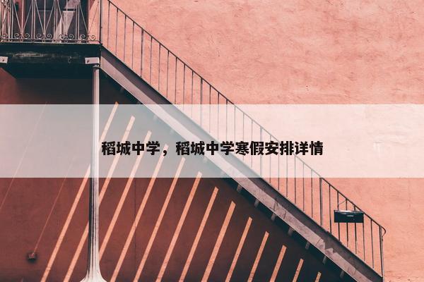 稻城中学，稻城中学寒假安排详情