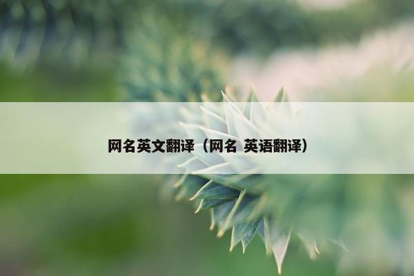 网名英文翻译（网名 英语翻译）