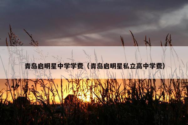 青岛启明星中学学费（青岛启明星私立高中学费）
