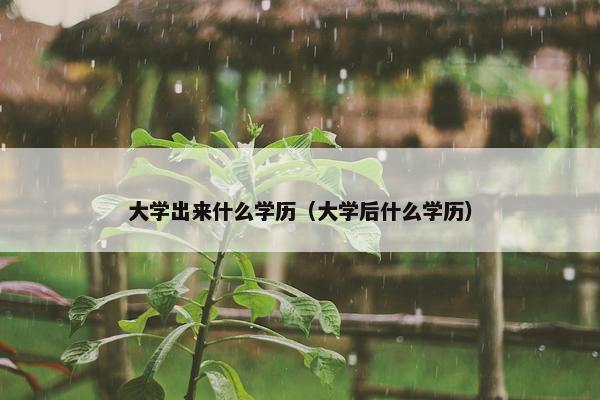 大学出来什么学历（大学后什么学历）