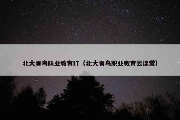 北大青鸟职业教育IT（北大青鸟职业教育云课堂）
