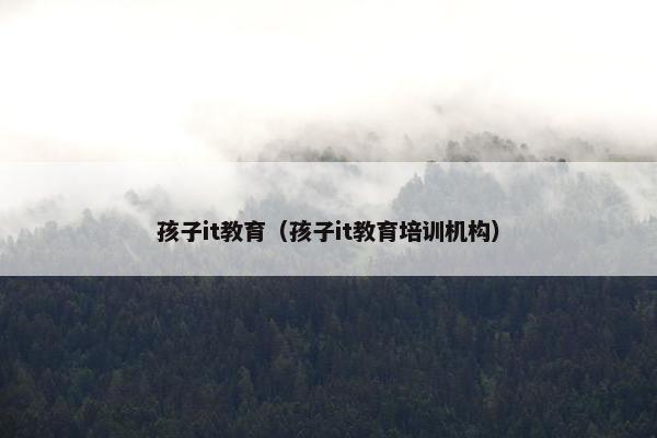 孩子it教育（孩子it教育培训机构）