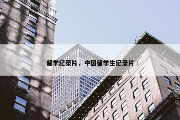 留学纪录片，中国留学生纪录片