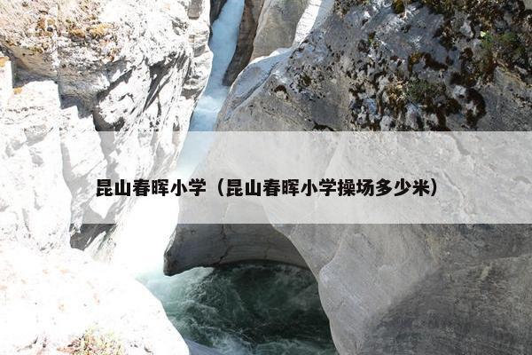 昆山春晖小学（昆山春晖小学操场多少米）