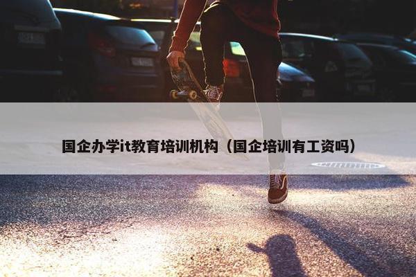 国企办学it教育培训机构（国企培训有工资吗）
