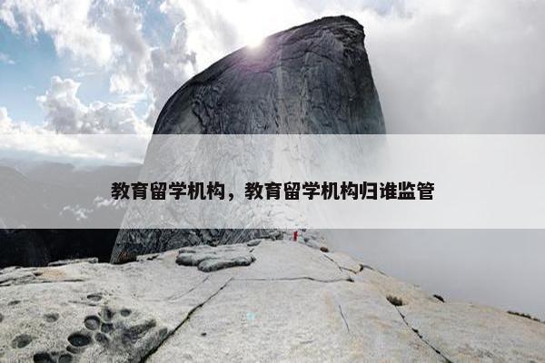 教育留学机构，教育留学机构归谁监管