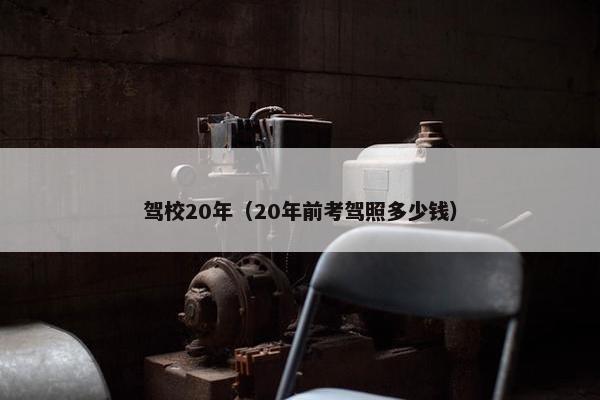 驾校20年（20年前考驾照多少钱）