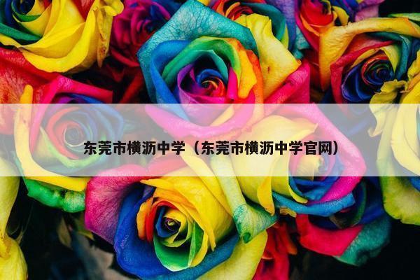 东莞市横沥中学（东莞市横沥中学官网）