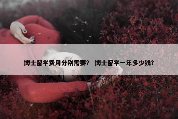 博士留学费用分别需要？ 博士留学一年多少钱？