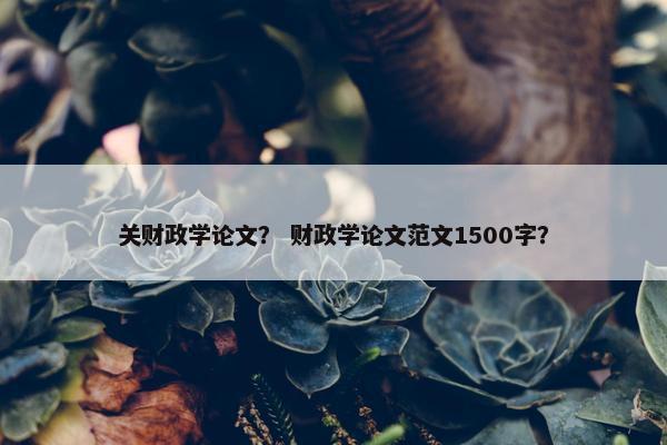 关财政学论文？ 财政学论文范文1500字？