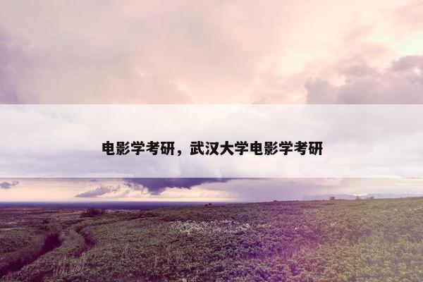 电影学考研，武汉大学电影学考研