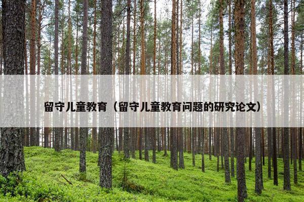 留守儿童教育（留守儿童教育问题的研究论文）