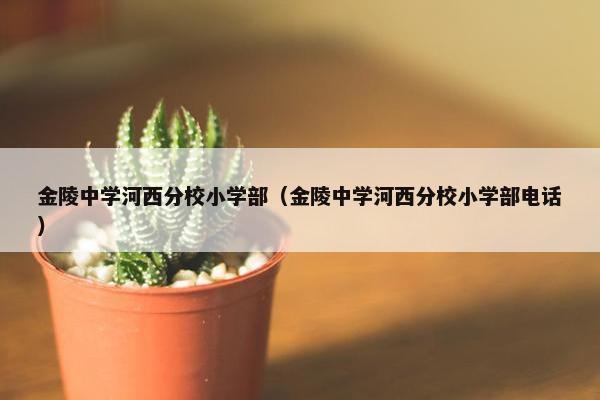 金陵中学河西分校小学部（金陵中学河西分校小学部电话）