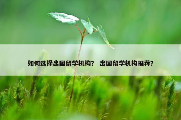 如何选择出国留学机构？ 出国留学机构推荐？