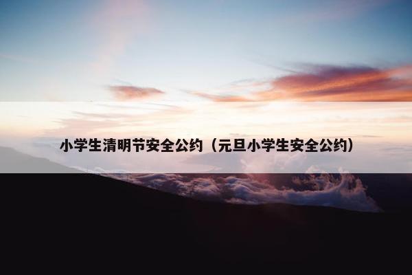 小学生清明节安全公约（元旦小学生安全公约）