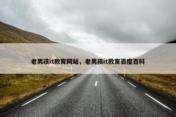 老男孩it教育网站，老男孩it教育百度百科