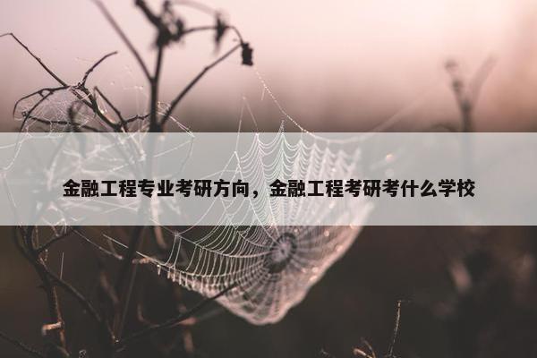 金融工程专业考研方向，金融工程考研考什么学校