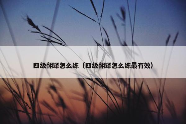 四级翻译怎么练（四级翻译怎么练最有效）