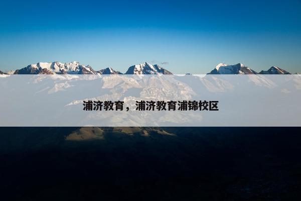 浦济教育，浦济教育浦锦校区