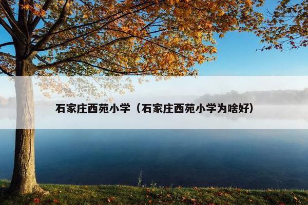 石家庄西苑小学（石家庄西苑小学为啥好）