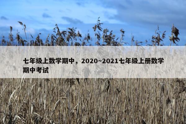 七年级上数学期中，2020～2021七年级上册数学期中考试