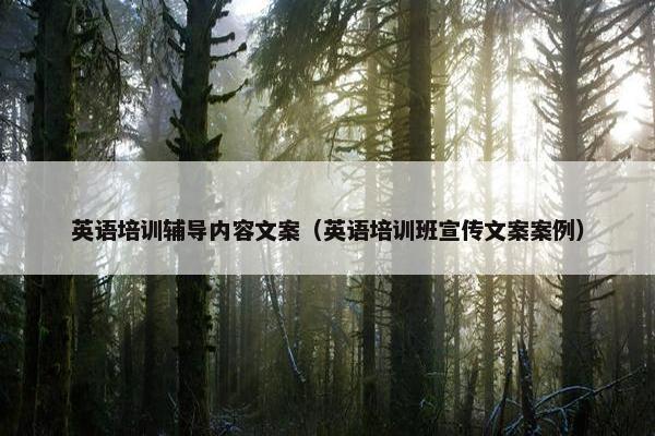 英语培训辅导内容文案（英语培训班宣传文案案例）
