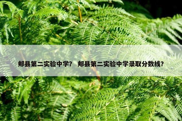 郏县第二实验中学？ 郏县第二实验中学录取分数线？